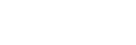 VLINK ASIA