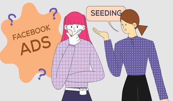 Seeding là gì