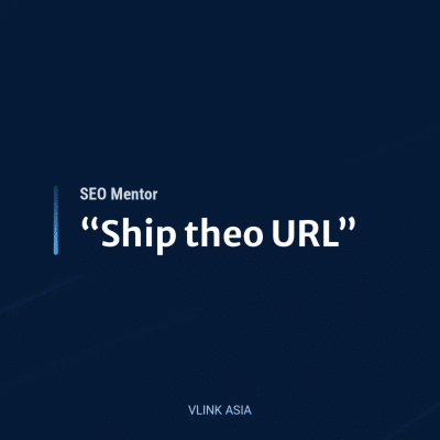 Seo Mentor “Ship Theo Url”